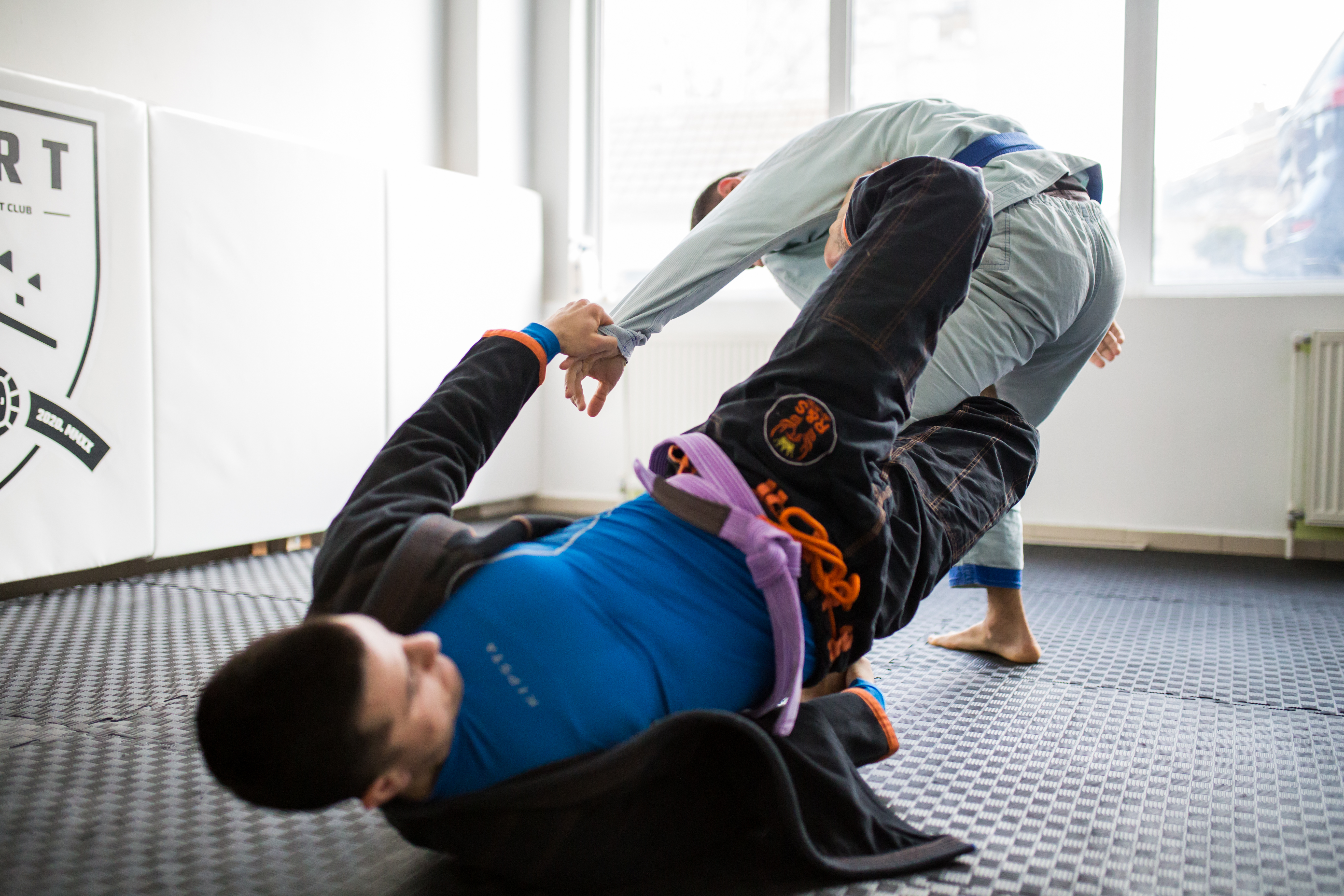 Brazilska jiu-jitsa / grappling
